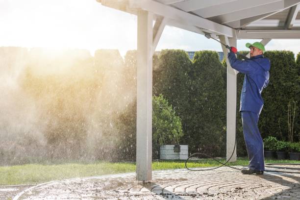 Pre-Holiday Cleaning in Lely Resort, FL