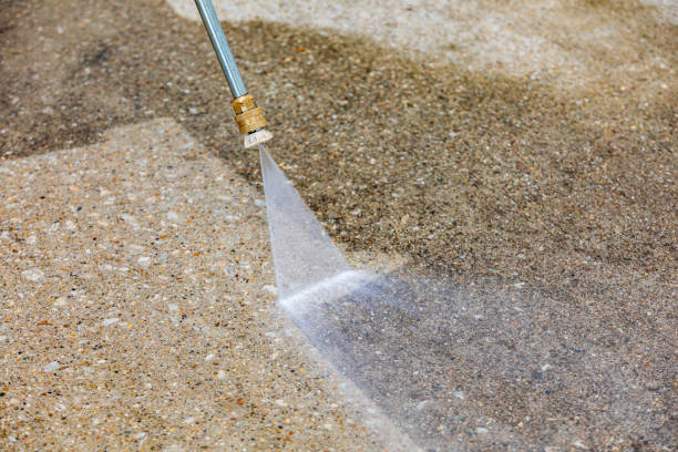 Best Sidewalk and Walkway Cleaning  in Lely Resort, FL