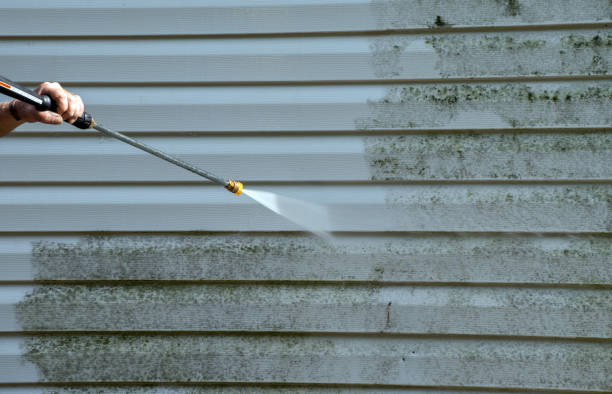 Best Patio and Deck Pressure Washing  in Lely Resort, FL