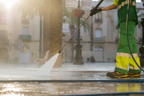 Best Solar Panel Cleaning  in Lely Resort, FL